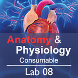 Anatomy & Physiology Lab 08: The Skeletal System - Consumable