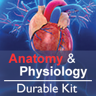 Anatomy & Physiology Durables Kit
