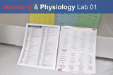 Anatomy & Physiology Starter Kit