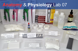 Anatomy & Physiology Starter Kit