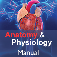 Anatomy & Physiology Curriculum Binder 2017 Edition