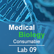 Medical Biology Lab 09: Carrying Capacity - Consumable