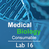 Medical Biology Lab 16: Global Health and Epidemics - Consumable