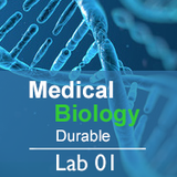 Medical Biology Lab 01: Science and Medicine  - Durable