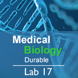 Medical Biology Lab 17: Karyotypes: Diagnosing Chromosome Disorders  - Durable