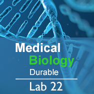 Medical Biology Lab 22: Survival of the Fittest  - Durable